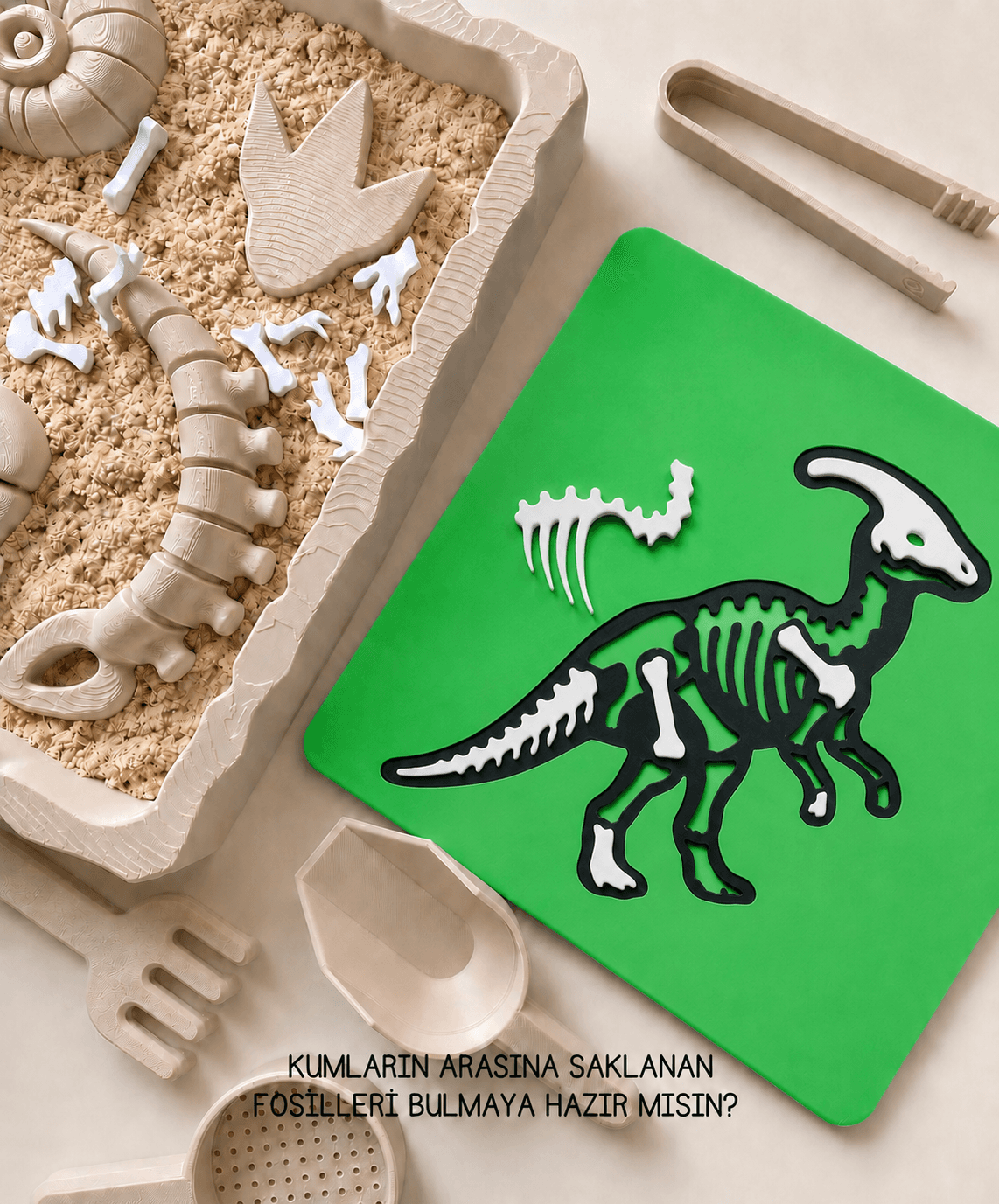 Ördekgaga Fosil Puzzle