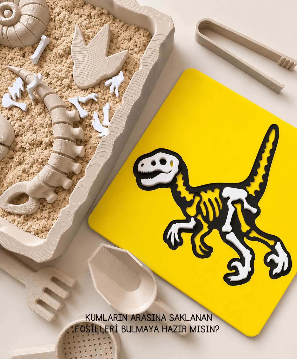 Raptor Fosil Puzzle