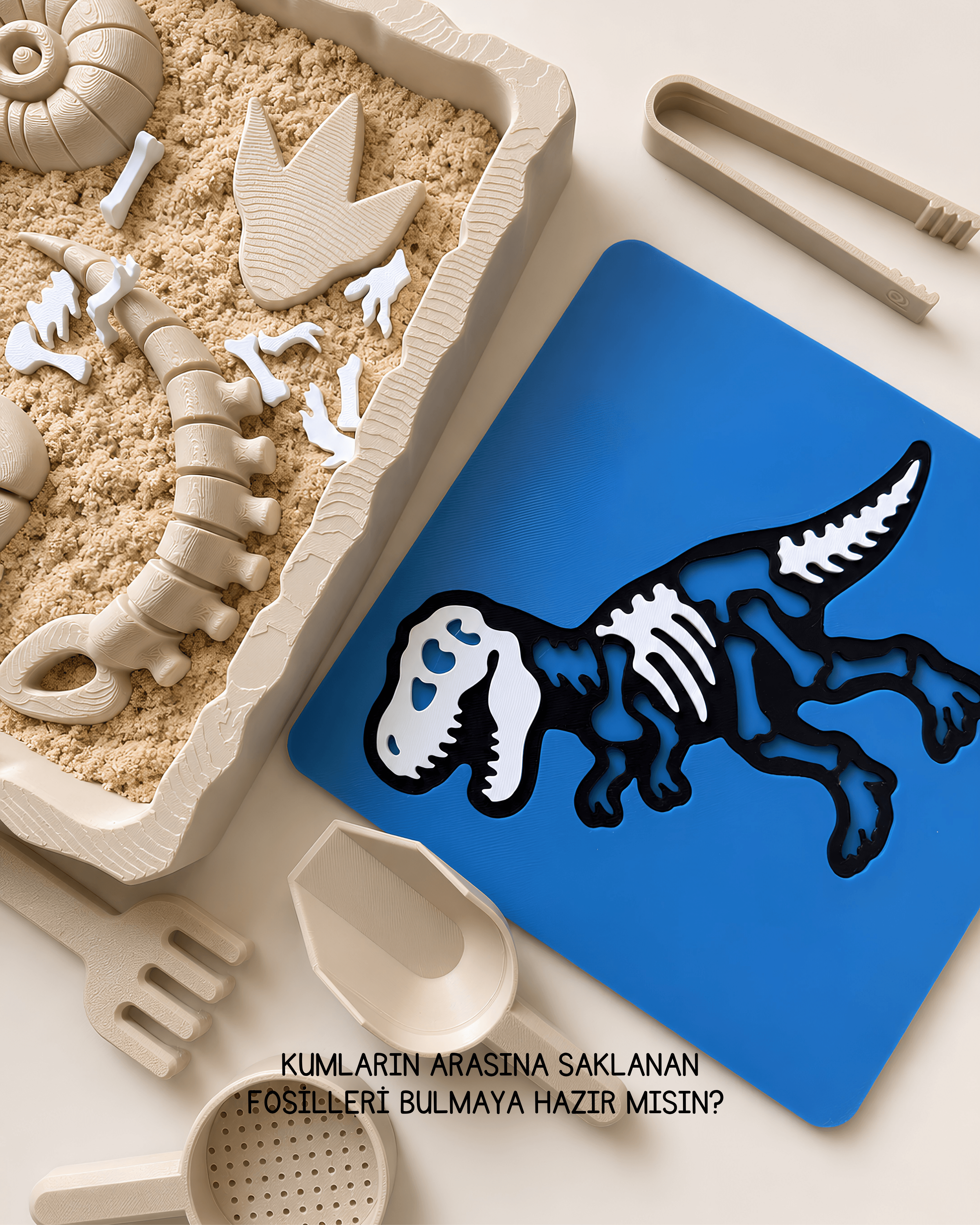 T-Rex Fosil Puzzle