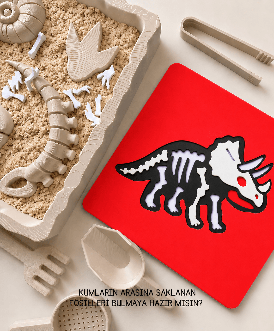 Triceratops Fosil Puzzle